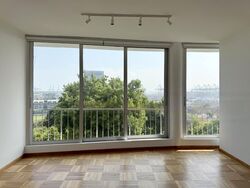 The Peak (D5), Condominium #454105211